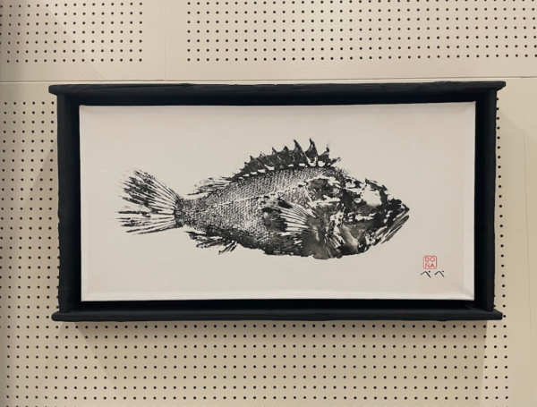 Escropora