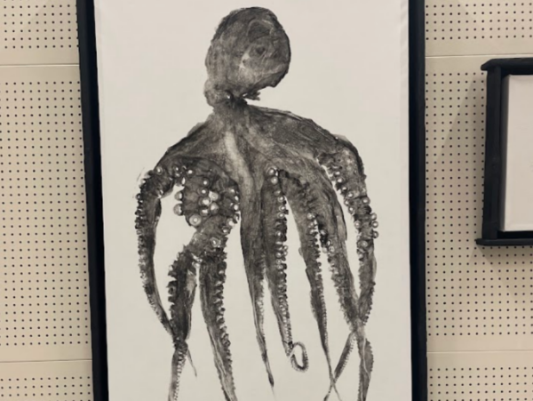 Pulpo